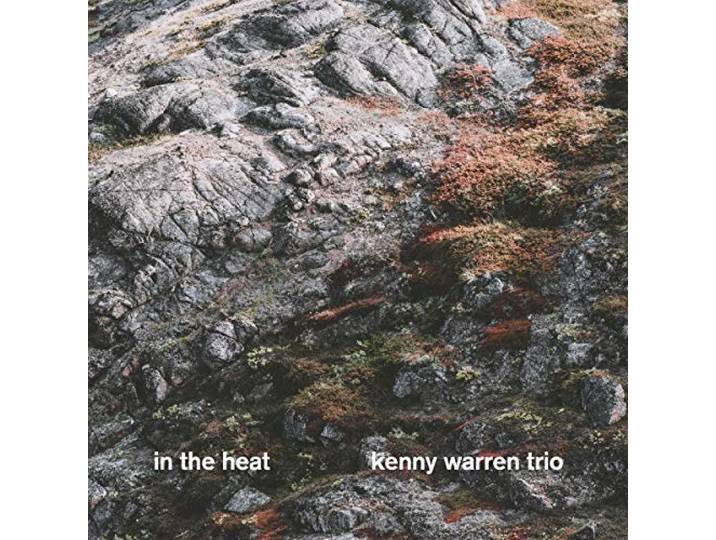 Kenny Warren Trio - In The Heat