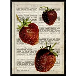 POSTER Erdbeeren. A4 Rahmenlos