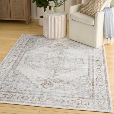 Nourison Astra Machine Washable Distressed Vintage Area Rug