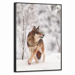 LEINWAND Bilder mit Rahmen - Wolf - Winter - Schnee - Natur - Tiere - 60x80