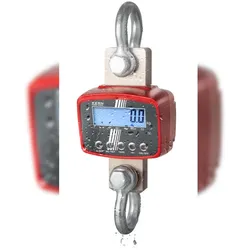 Kranwaage Kern HFD 600K-1IP hochauflösende Kranwaage  bis 600kg - 200g genau
