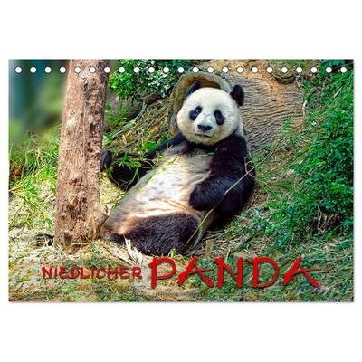 Niedlicher Panda (Tischkalender 2027 DIN A5 quer), CALVENDO Monatskalender
