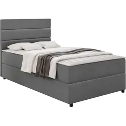 BOXBETT Elen - H3