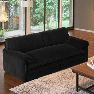 "66"" Velvet 3-in-1 Queen Pull-Out Sleeper Loveseat Sofa with Side Storage"