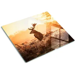 GLASPLATTE 60x52 cm Sonnenaufgang über dem Hirsch