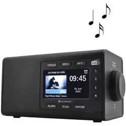 soundmaster Radio DAB900SW schwarz