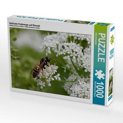 CALVENDO Puzzle Gallische Feldwespe auf Giersch | 1000 Teile Lege-Größe 64x48cm Foto-Puzzle für glückliche Stunden