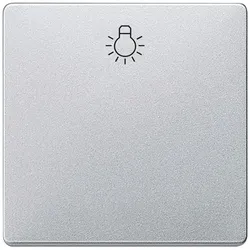 Siemens 5TG6201-0AM20 DELTA i-system Wippe mit Symbol Licht, aluminiummetallic 5TG62010AM20