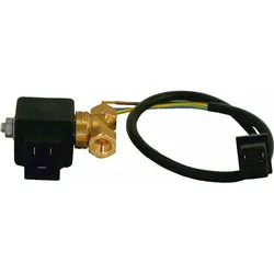Wolf Magnetventil 10884 Eckerle Pumpe 8902406 für NU, HU, CNU, CHU, FNU, FHU