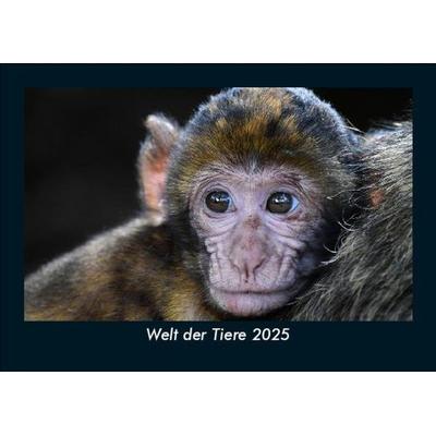 Welt der Tiere 2025 Fotokalender DIN A5