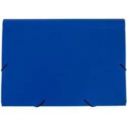 FolderSys Fächermappe DIN A4 5-Fach  blau