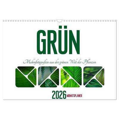 Grün Makrofotografien aus der grünen Welt der Pflanzen als Monatsplaner (Wandkalender 2026 DIN A3 quer), CALVENDO Monatskalender