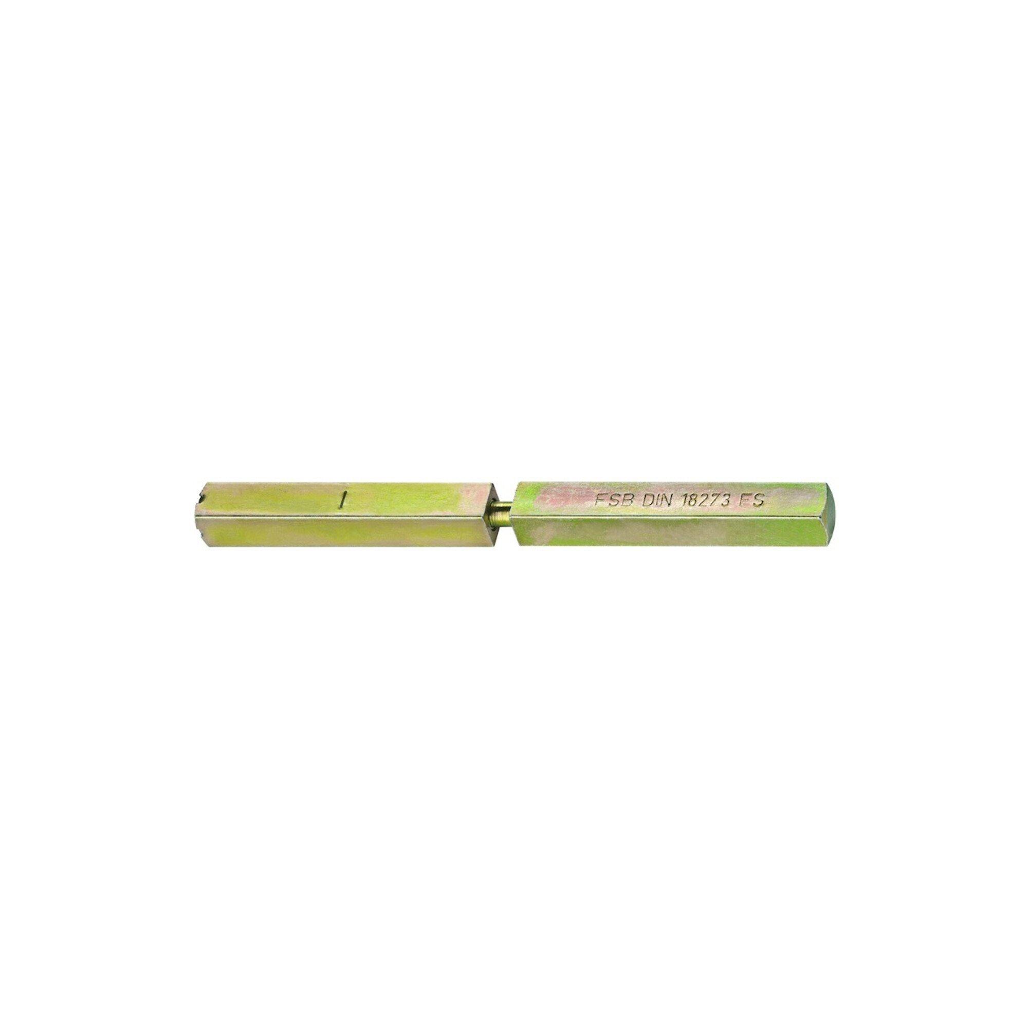 FSB Spezialstift 05 0125 4-KT.9mm L.111 Schl.m.geteilter Nuss (0 05 0125 00404 5700)