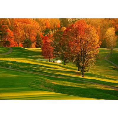 Fototapete PAPERMOON "Herbst Feld", bunt, B:3m L:2,23m, Vlies, Tapeten