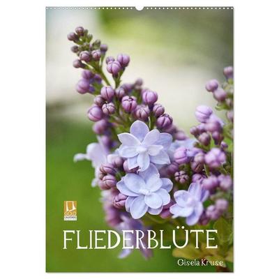 Fliederblüte (Wandkalender 2027 DIN A2 hoch), CALVENDO Monatskalender