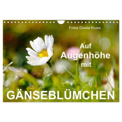 Auf Augenhöhe mit Gänseblümchen (Wandkalender 2027 DIN A4 quer), CALVENDO Monatskalender