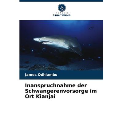 Inanspruchnahme der Schwangerenvorsorge im Ort Kianjai, Taschenbuch von James Odhiambo, Verlag Unser Wissen, 978-620-7-80082-7