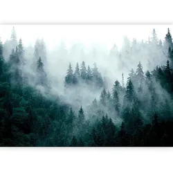 Fototapete Grau/Waldgrün ca. 100x70cm