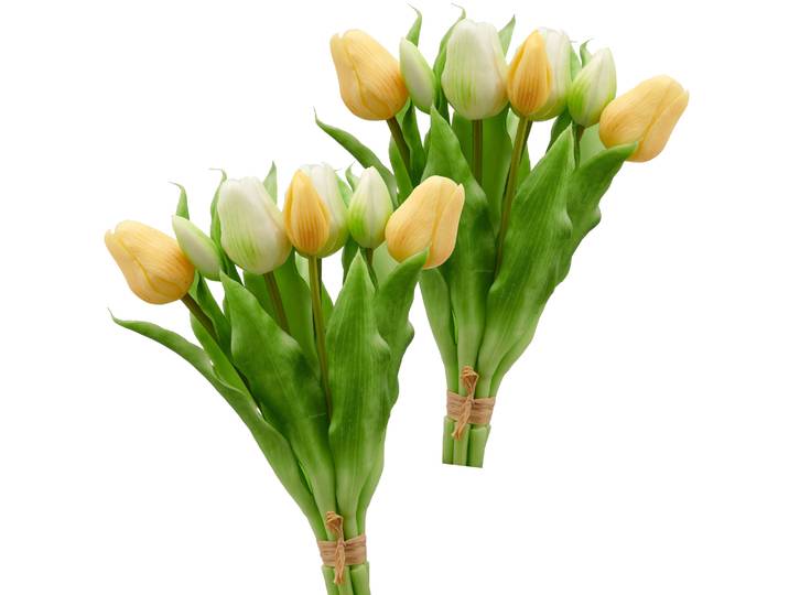 Creativ green Tulpenbund in schöner Farbe