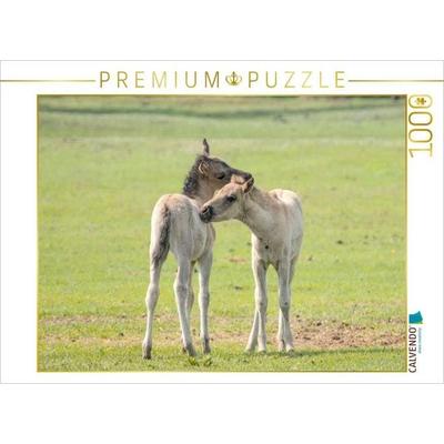 CALVENDO Puzzle Spielende Pferdekinder | 1000 Teile Lege-Größe 64x48cm Foto-Puzzle für glückliche Stunden
