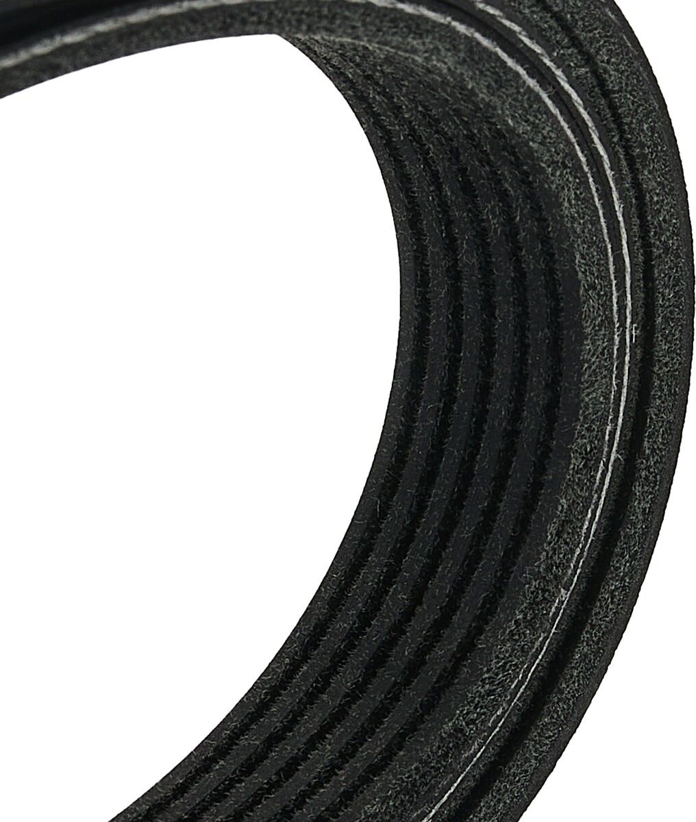 RIDEX 305P0516 Multiriem