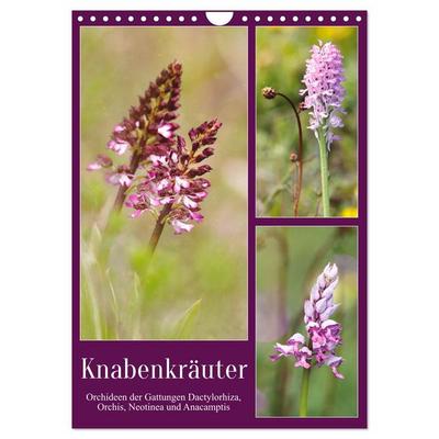 Knabenkräuter (Wandkalender 2026 DIN A4 hoch), CALVENDO Monatskalender