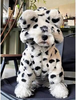 Uplifted Goods Cozy Winter Fur Coat For Dogs Warm Thick Pet Jacket For Small And Medium Breeds black And White xl