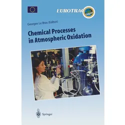 Chemical Processes in Atmospheric Oxidation, Fachbücher von Georges Le Bras