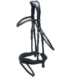 Trense SP Stanford Anatomic Line