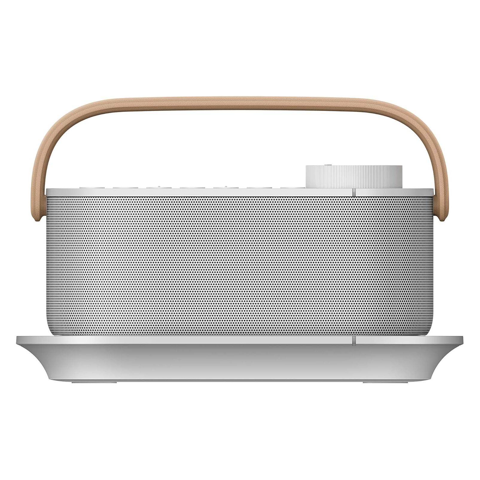 Sony SRS-LSR200 (13 h) (SRSLSR200.CE7)