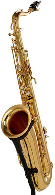 Schagerl Superior Tenor Sax T-1L