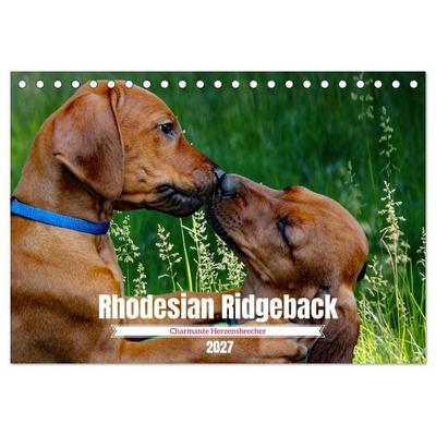 Rhodesian Ridgeback, Charmante Herzensbrecher (Tischkalender 2027 DIN A5 quer), CALVENDO Monatskalender