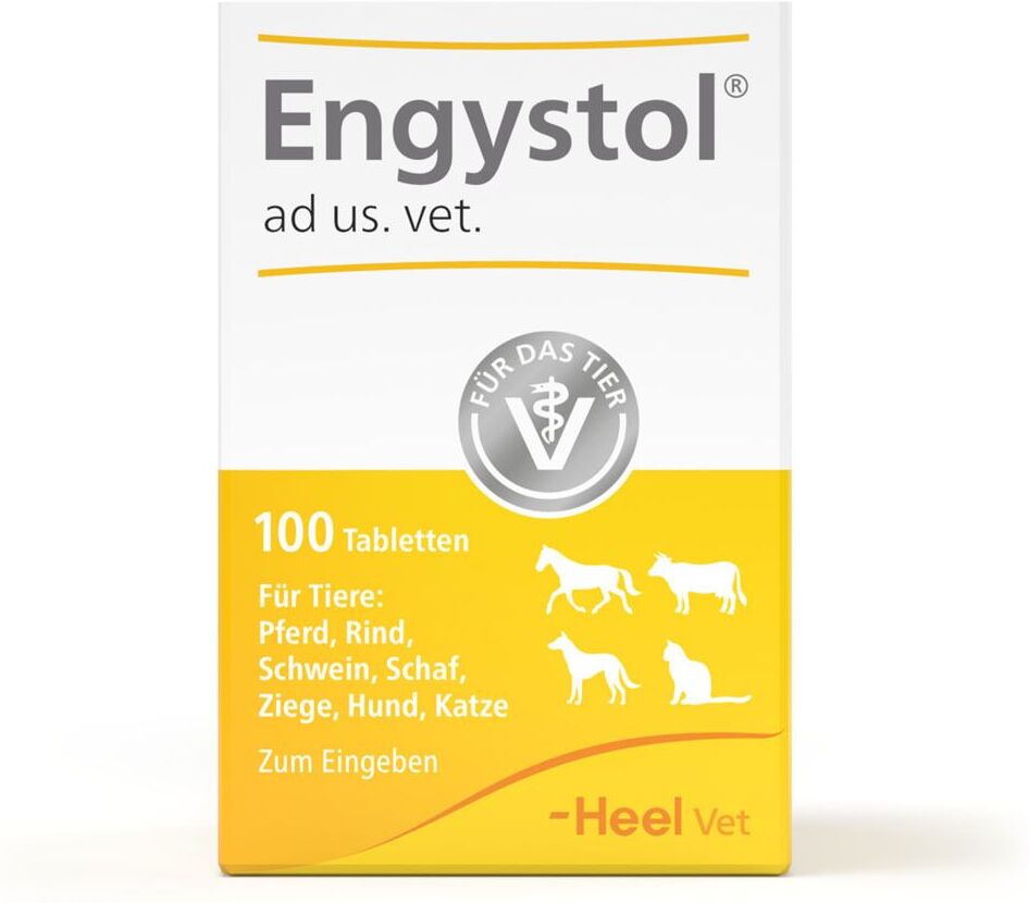 Engystol VET Engystol ad us.vet.Tabletten 100 St Tabletten