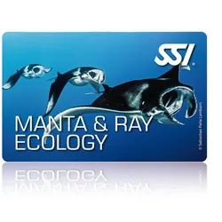 Manta & Ray Ecology - SSI Specialty - Online Tauchkurs