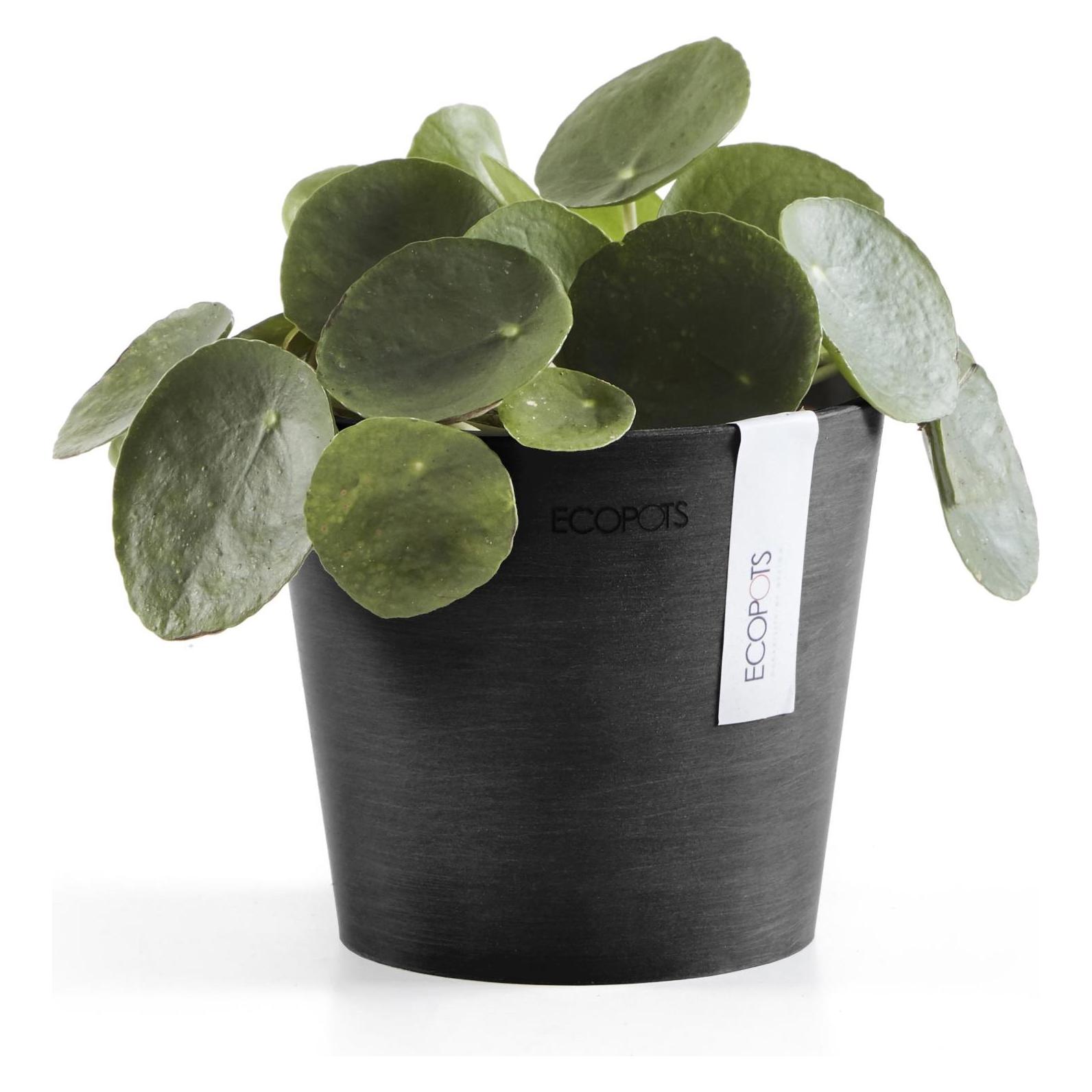 Ecopots Amsterdam Mini (13 x 11.40 cm) (AM.13.DG)