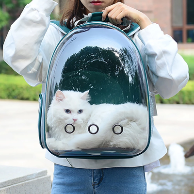 PetsAreLife Clear Cat Backpack Carrier With Ventilated Space Capsule Design For Travel Dark Blue