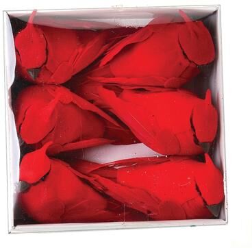 Regency International "4"" Mini Cardinal, Box Of 6, Acetate"