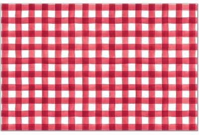 FirstDawn "Gingham 24 Pack Reusable Premium Paper Placemats in Resealable Bag Manufactured in The USA 17"" x 11"""