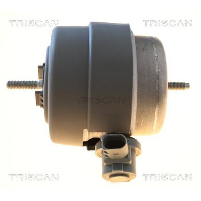 TRISCAN Lagerung, Motor 850529199 für Audi