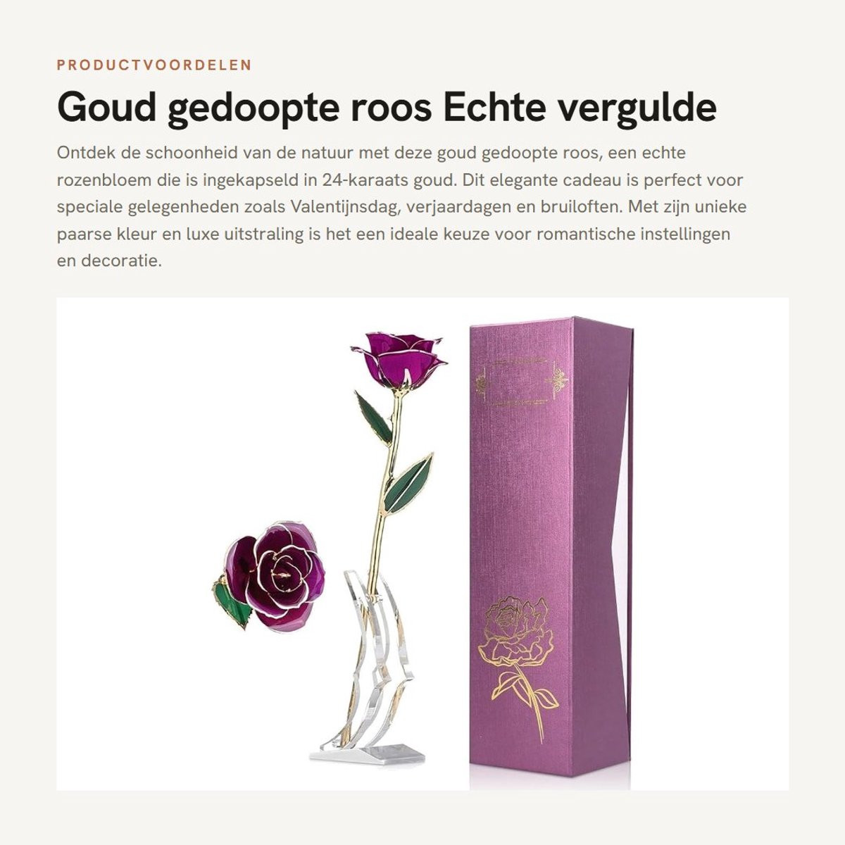 Dailygoods Vergulde Roos 24K Echte Geconserveerde Rozenbloem