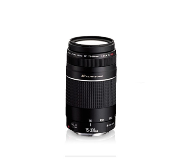 Canon 75-300 mm / F 4.0-5.6 EF USM Telezoom fÃ1/4r Canon EF / EF-S Spiegelreflexkameras, F4 (W) - F5,6 (T), Vollformatsensor, Ultraschallmotor, Autofokus, 58 mm Filterdurchmesser