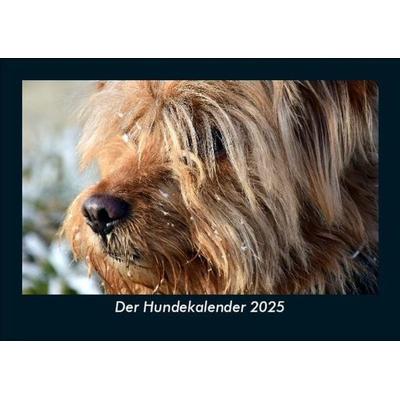 Der Hundekalender 2025 Fotokalender DIN A5
