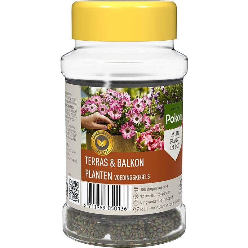 Pokon Voedingskegels voor Terras en Balkon, Slow Release Plantentonic, 40 stuks