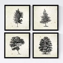 POSTER Set mit 4 Blättern der Bäume struktur Jahrgang Hintergrund 20x20cm Rahmenlos