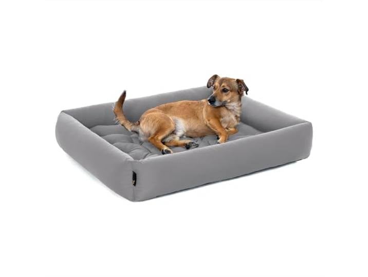 Pointer Hundebett Große Hunde - Orthopädisches Hundebett mit Herausnehmbarer Matratze, Waschbar bis 95°C, Trocknergeeignet, Kratzfest & Bissfest, Made in Germany (XXL - 100x90 cm, Hellgrau)