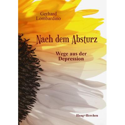 Nach dem Absturz, Taschenbuch von Gerhard Lombardino, Haag + Herchen, 978-3-89846-935-7