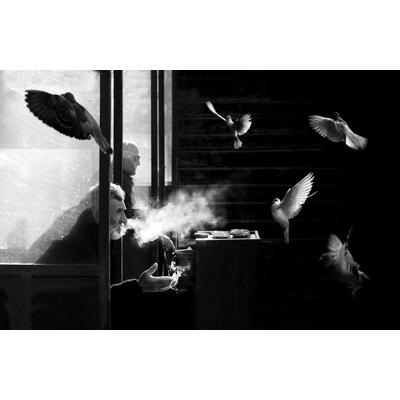 Papermoon "Photo-Art JUAN LUIS DURAN, DER MANN DER TAUBEN"