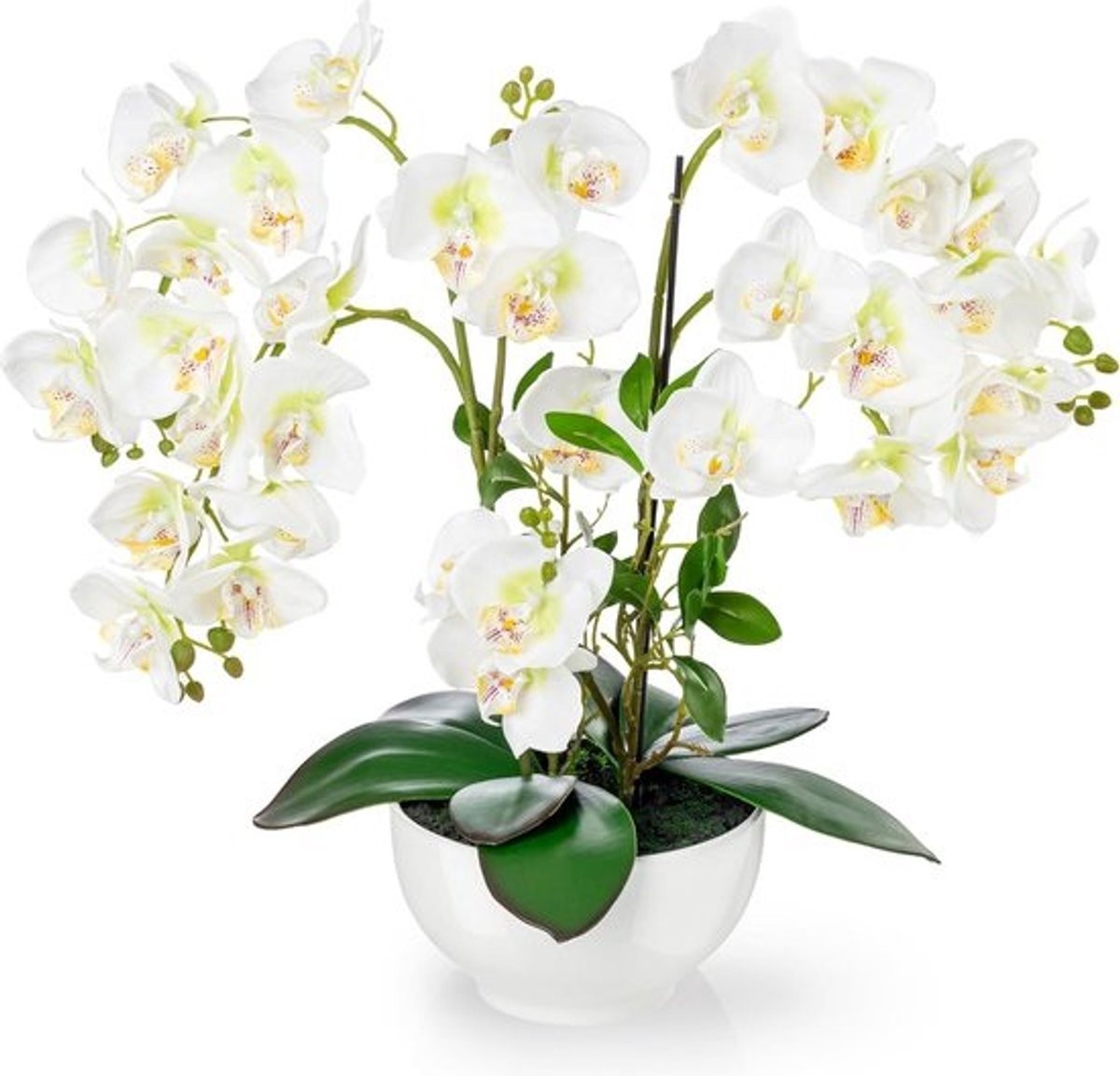 XXL kunstbloem orchidee met hoogglans keramische pot, 56 cm
