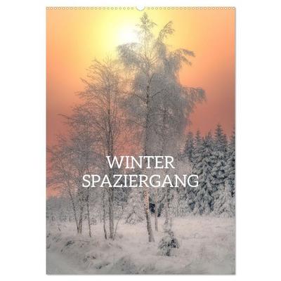Winter Spaziergang (Wandkalender 2026 DIN A2 hoch), CALVENDO Monatskalender
