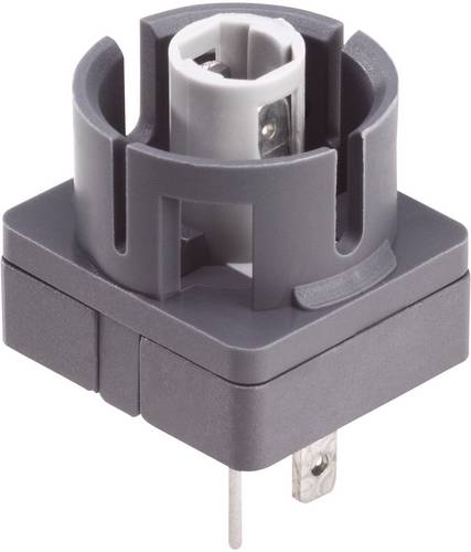 Schlegel BL5K Lampenfassung 10St.